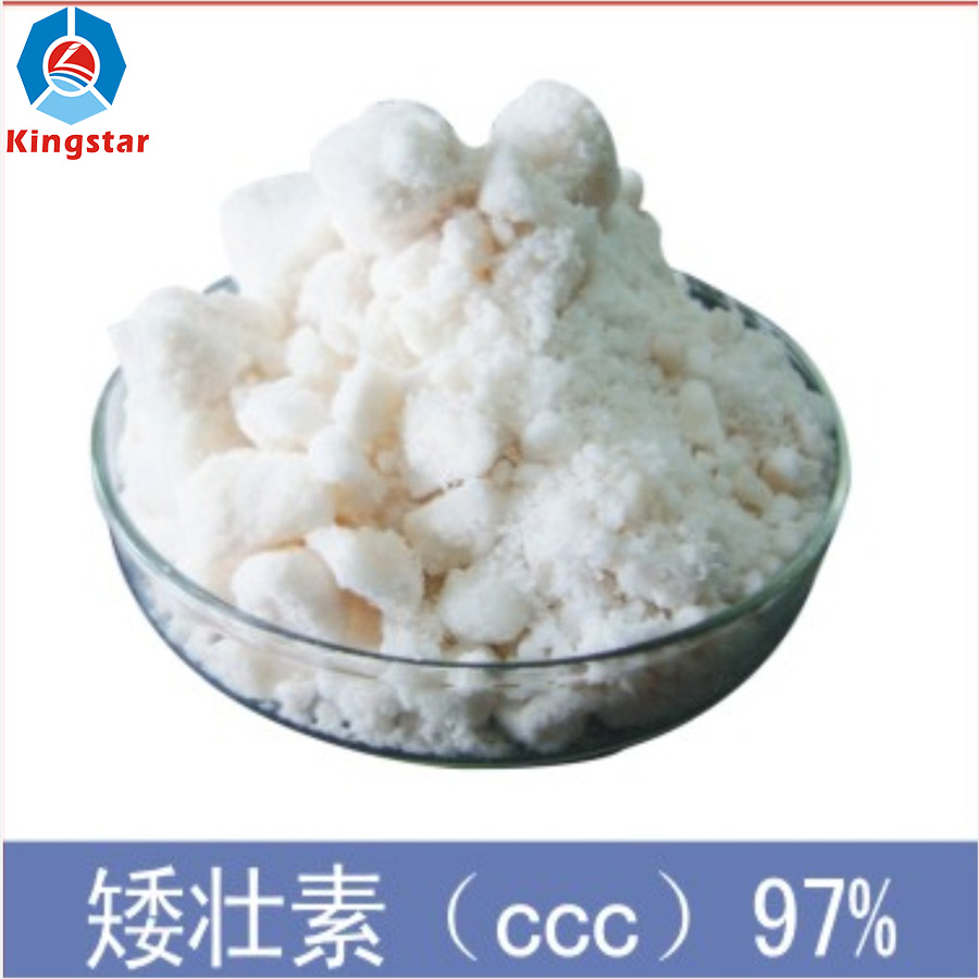 Chlormequat chloride CCC Plant Growth Regulators White Crysstalline Powder PGR