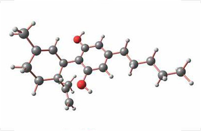 前列腺素E2纯化应用案例
