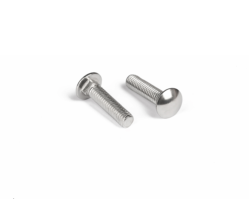 (SS304) Carriage  Bolts