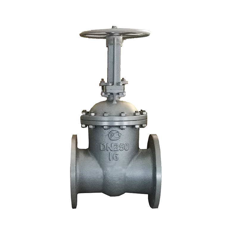 DN 250 PN16 gost casting stem gate valve