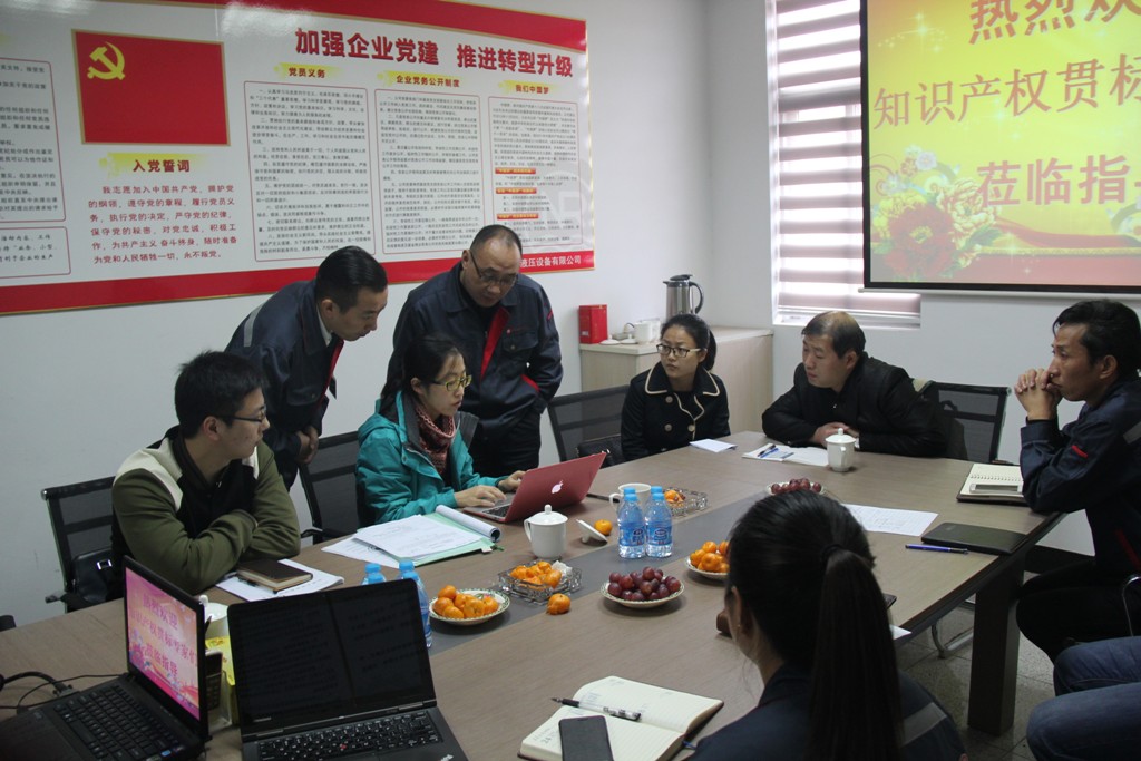 Experts from the Provincial Science and Technology Bureau came to our company to review and evaluate the performance evaluation of "Intellectual Property Standards Implementation"