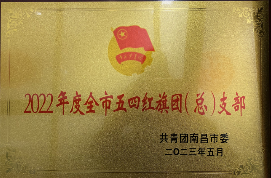 喜报|洪城控股集团有限公司团支部荣获2022年度全市五四红旗团（总）支部称号