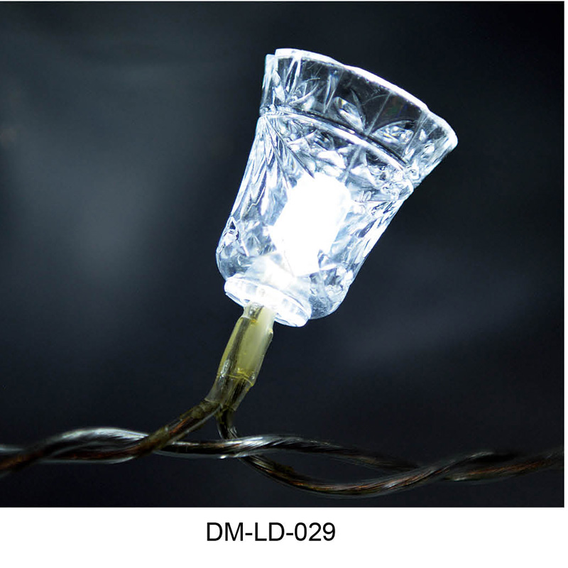 DM-LD-029