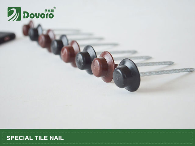 Special tile nail