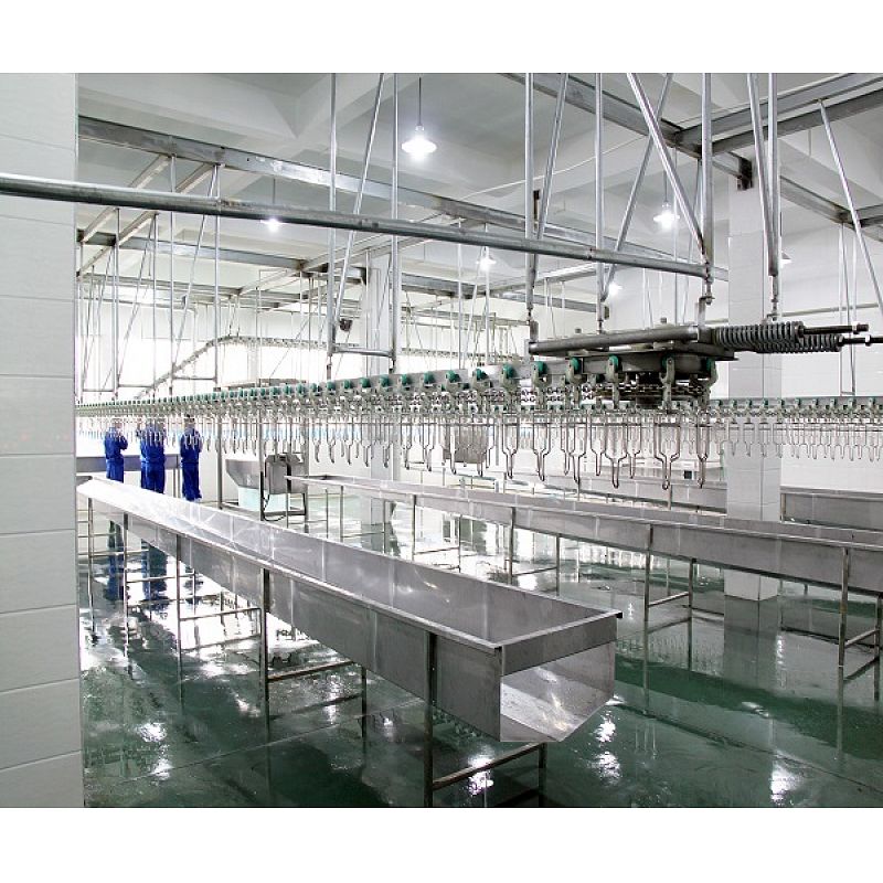 Poultry Processing Line- Eviscerating