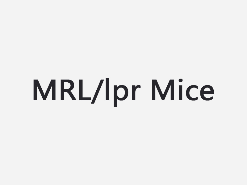MRL/lpr Mice