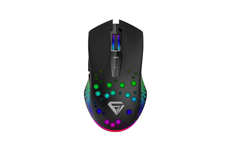 Holing Gaming Mouse with RGB lights