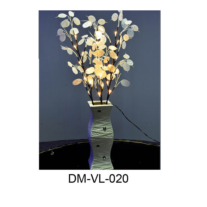 DM-VL-020