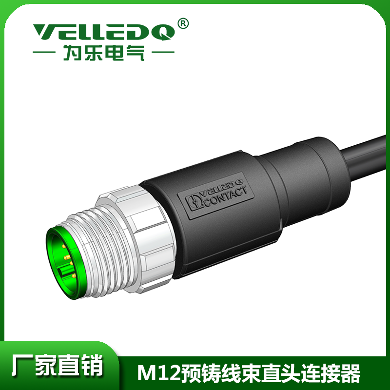 M12预铸12针直带5米黑色PVC屏蔽线