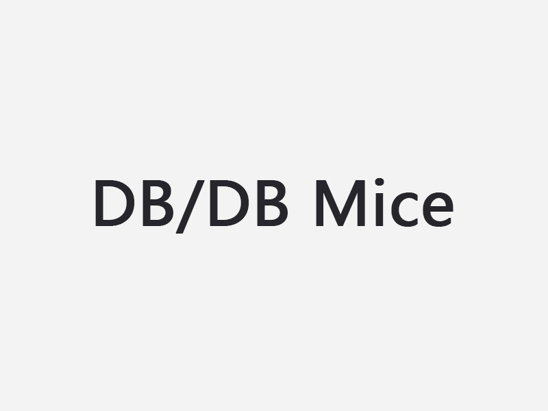 DB/DB Mice （DB小鼠）