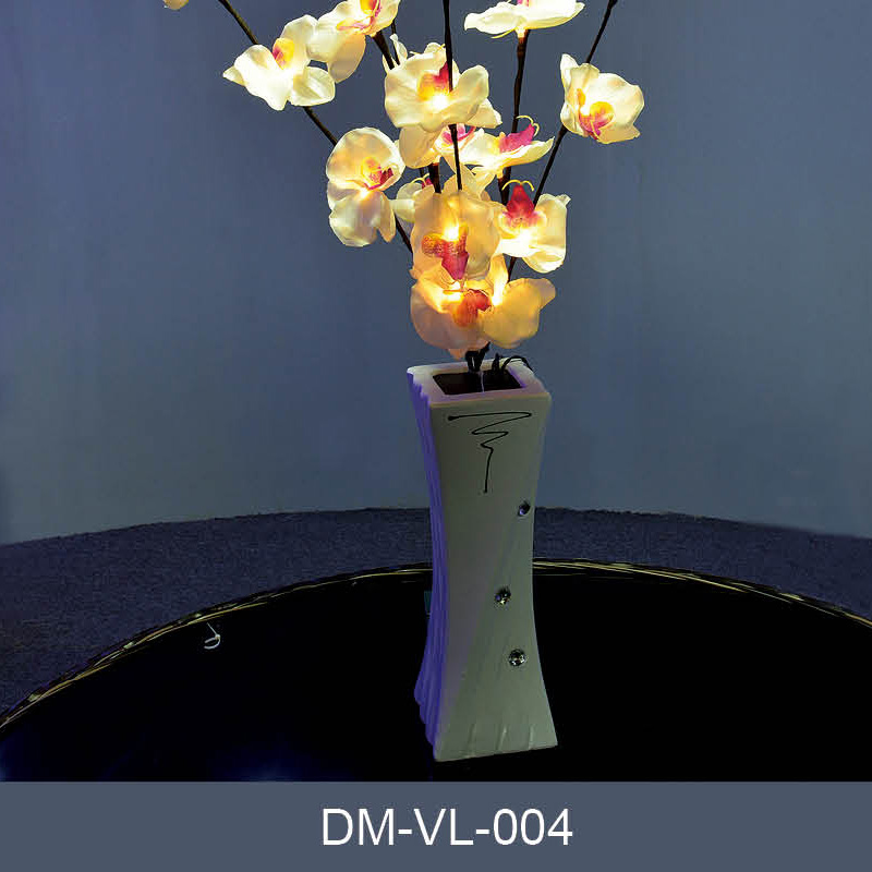 DM-VL-004