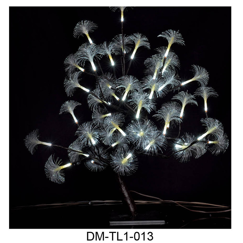 DM-TL1-013