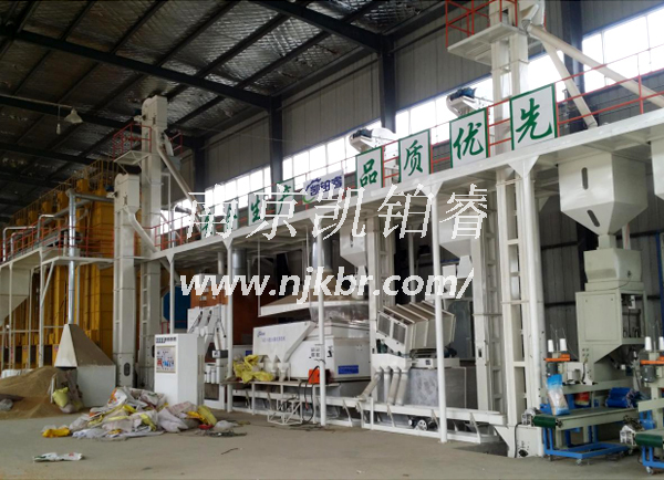 Wheat seed processing line