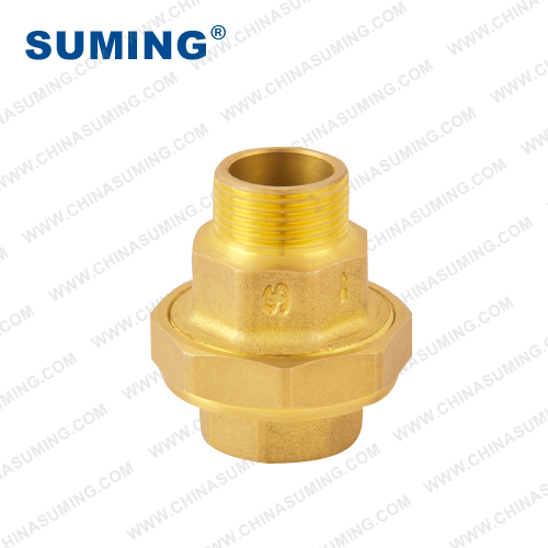Fast Connecting Brass Check Valve