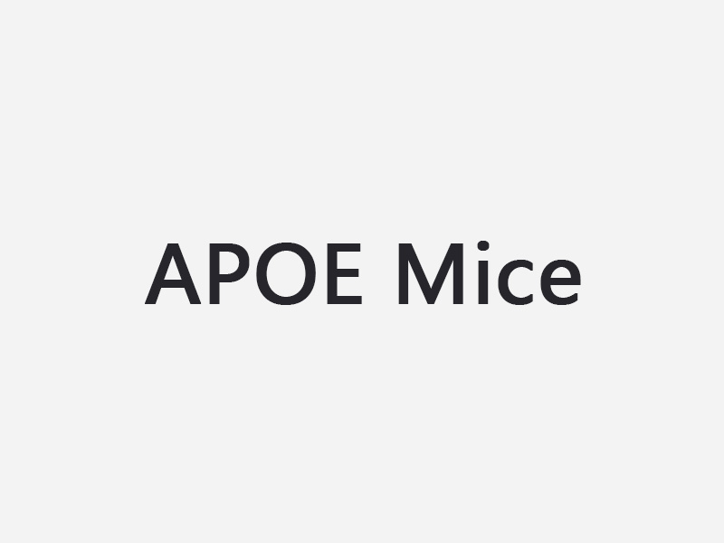 APOE Mice（APOE小鼠）