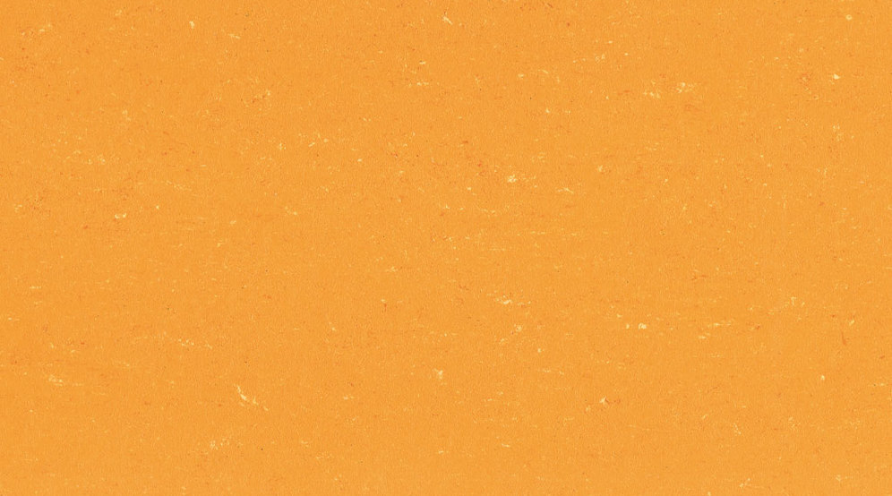 1171 Sunrise Orange