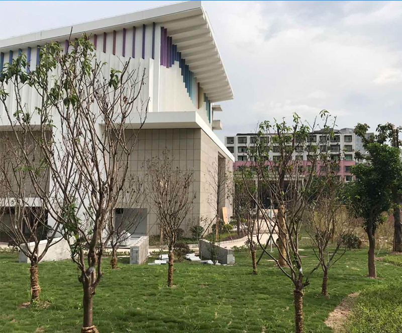 Chongqing Shizhu Performing Arts Center Project