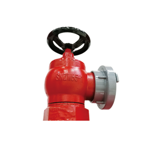 Indoor fire hydrant