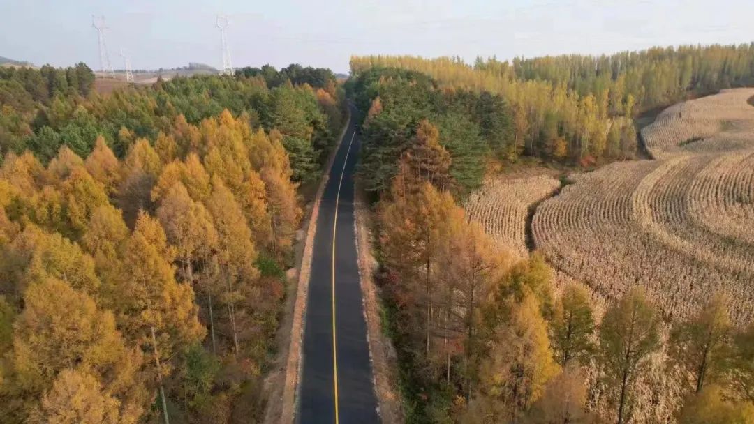  黑龙江省普通国省干线公路质量提升专项工程（西部地区）A1标段十一工区顺利通过交工验收