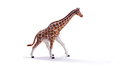 动物玩具-长颈鹿