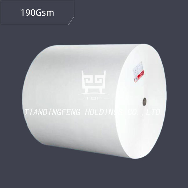 190Gsm Fiberglass Reinforced Polyester Spunbond Needle Punched Roofing Carrier