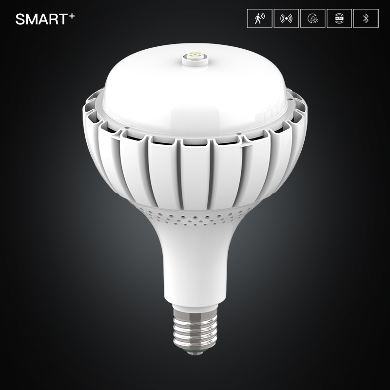RS1 Smart Industrial Bulb