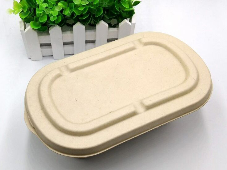 What is the market prospect of 2019 disposable environmental protection tableware?