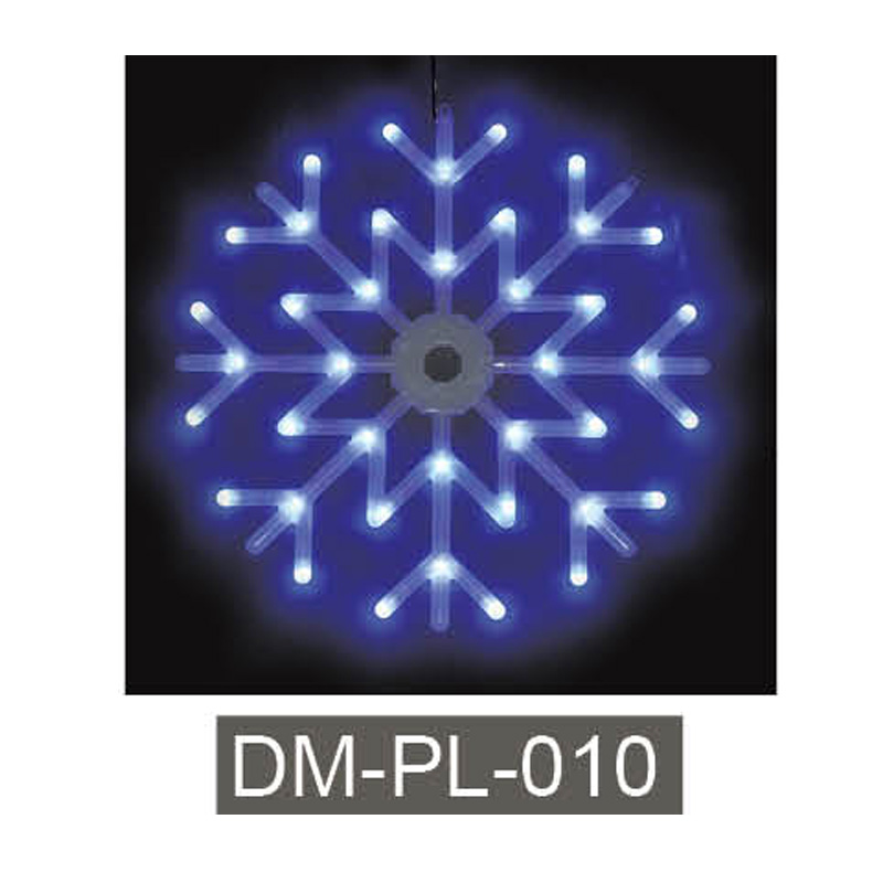 DM-PL-010