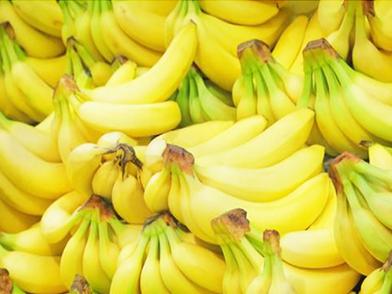 冬季香就�@么一��蕉施肥要�c，高�a香蕉的好方法