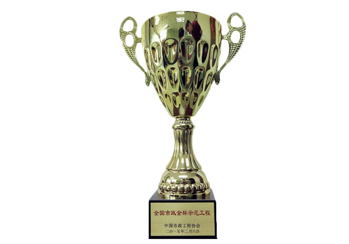 National Municipal Golden Cup Demonstration Project Trophy