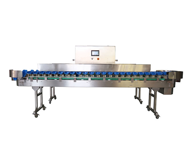 Automatic weight sorting machine for seafood