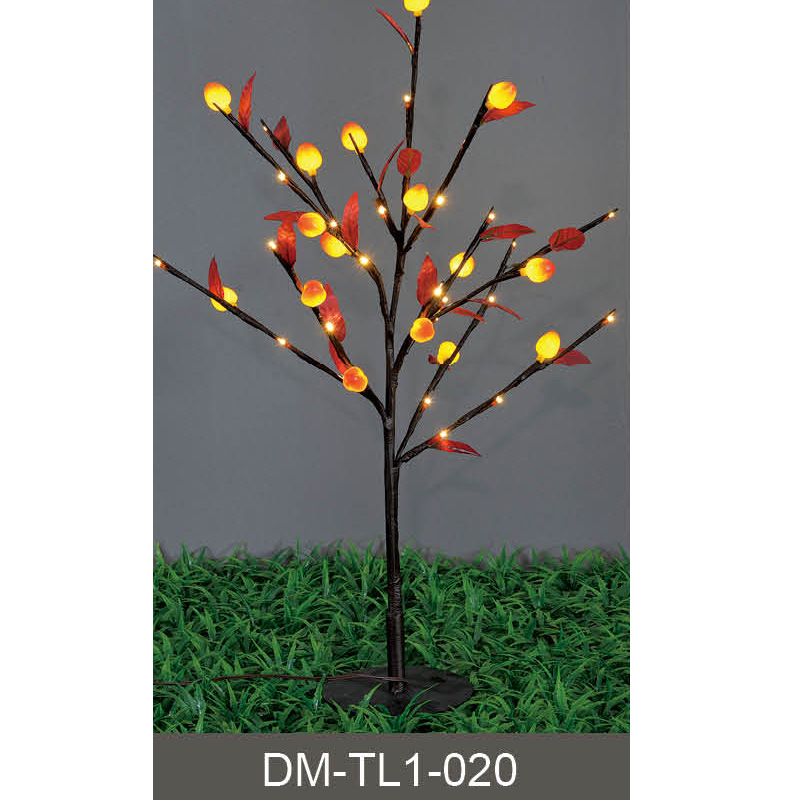 DM-TL1-020