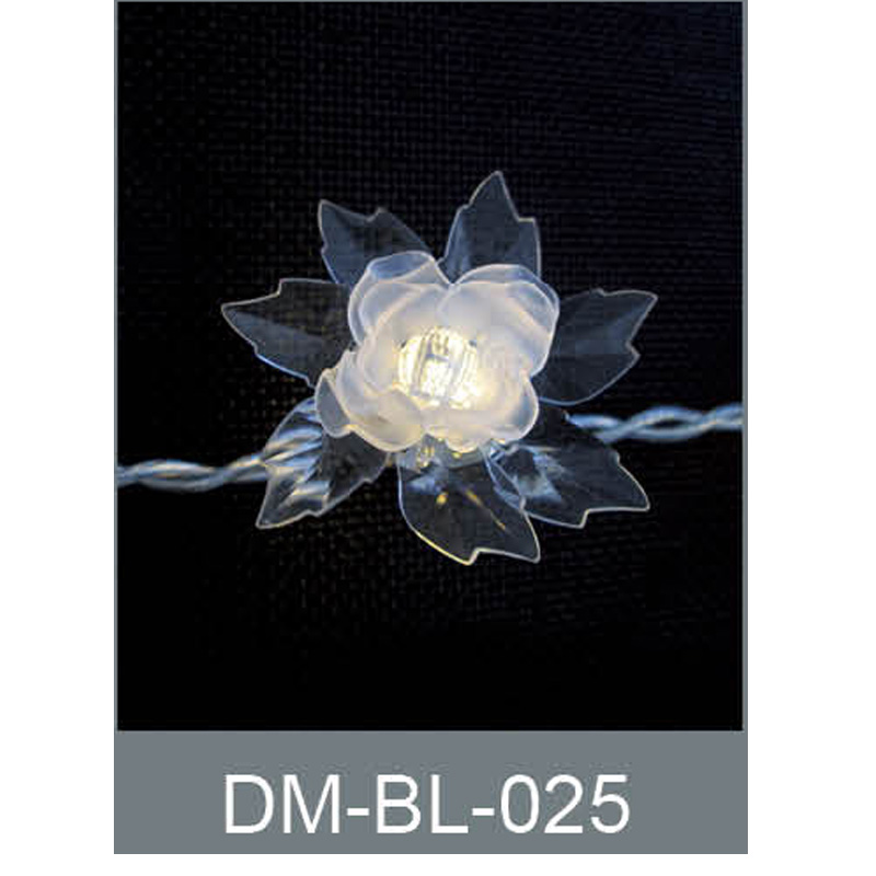 DM-BL-025