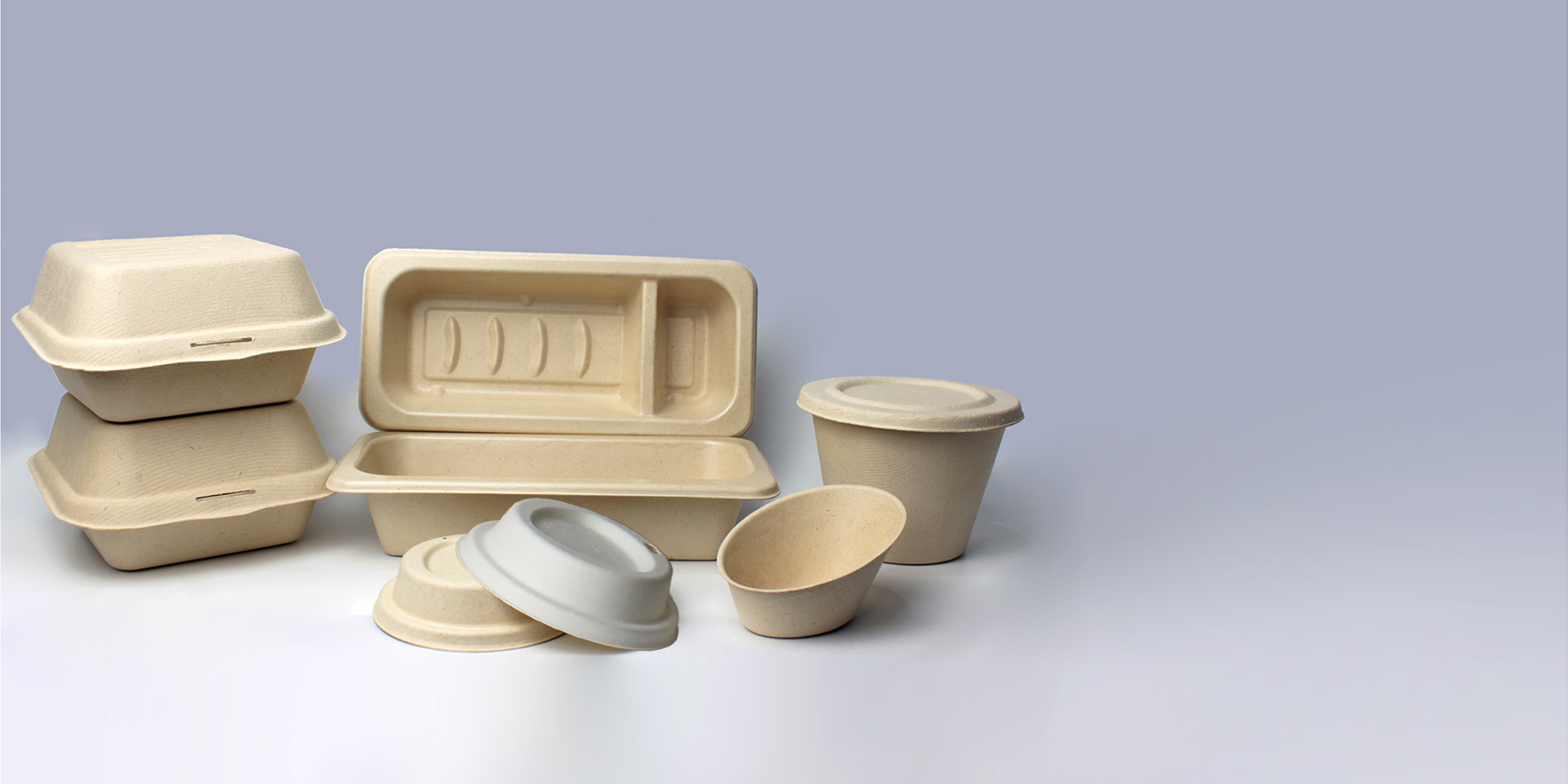 <div class="banner_title"><p>RECYCLABLE ECO-FRIENDLY  FOOD  PACKAGING</p></div>