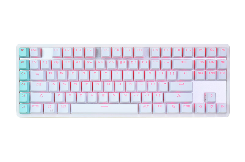 Wired Portable RGB TKL Macro Mechanical keyboard