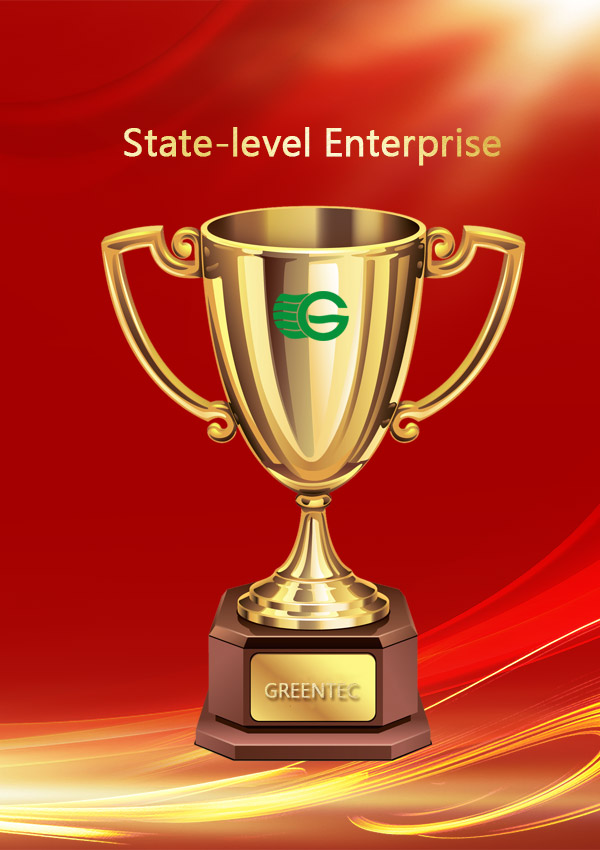State-level Enterprise