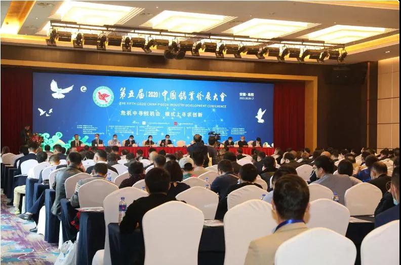 第五届（2020）中国鸽业发展大会在安徽阜阳隆重召开