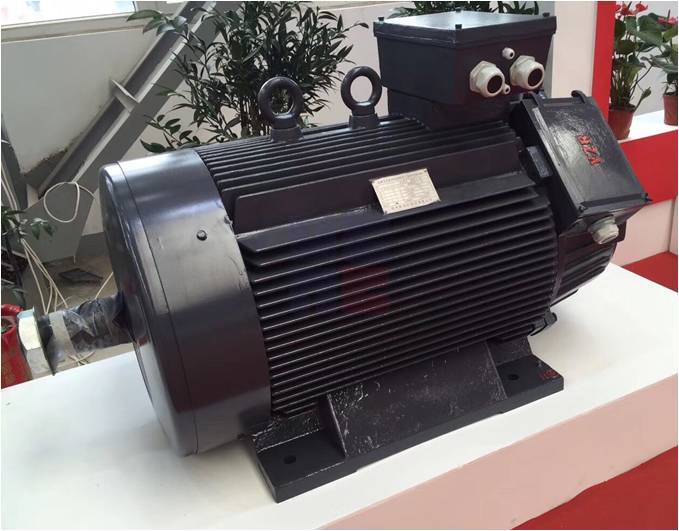 YZR Series of Wound Rotor Three-phase Asynchronous Motor for Crane and Metallurgical Application (Frame Size: 112-560)