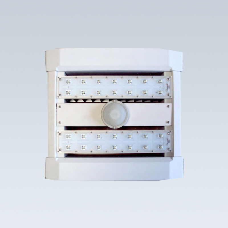 GAS STATIONLED CANOPY LIGHT