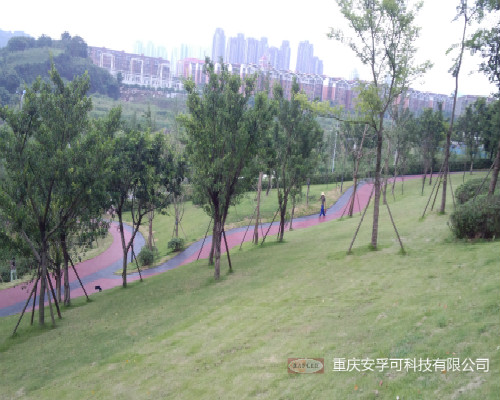 重庆龙湖江与城体育公园彩色石英砂路面