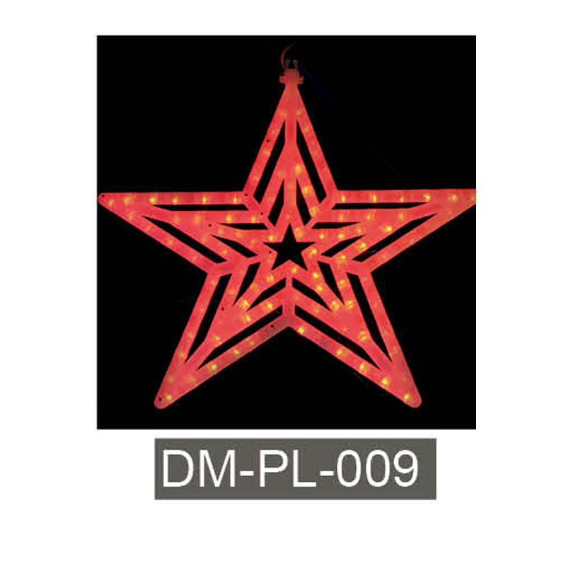 DM-PL-009
