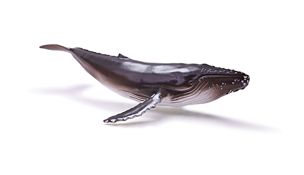 海洋动物玩具-座头鲸