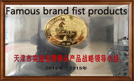 天津市实施名牌拳头产品战略领导小组