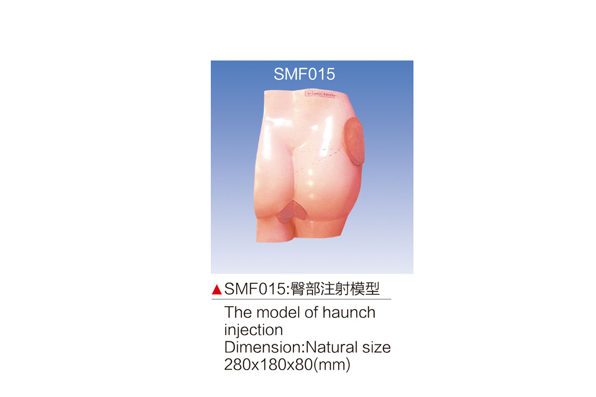 SMF015：臀部注射模型
