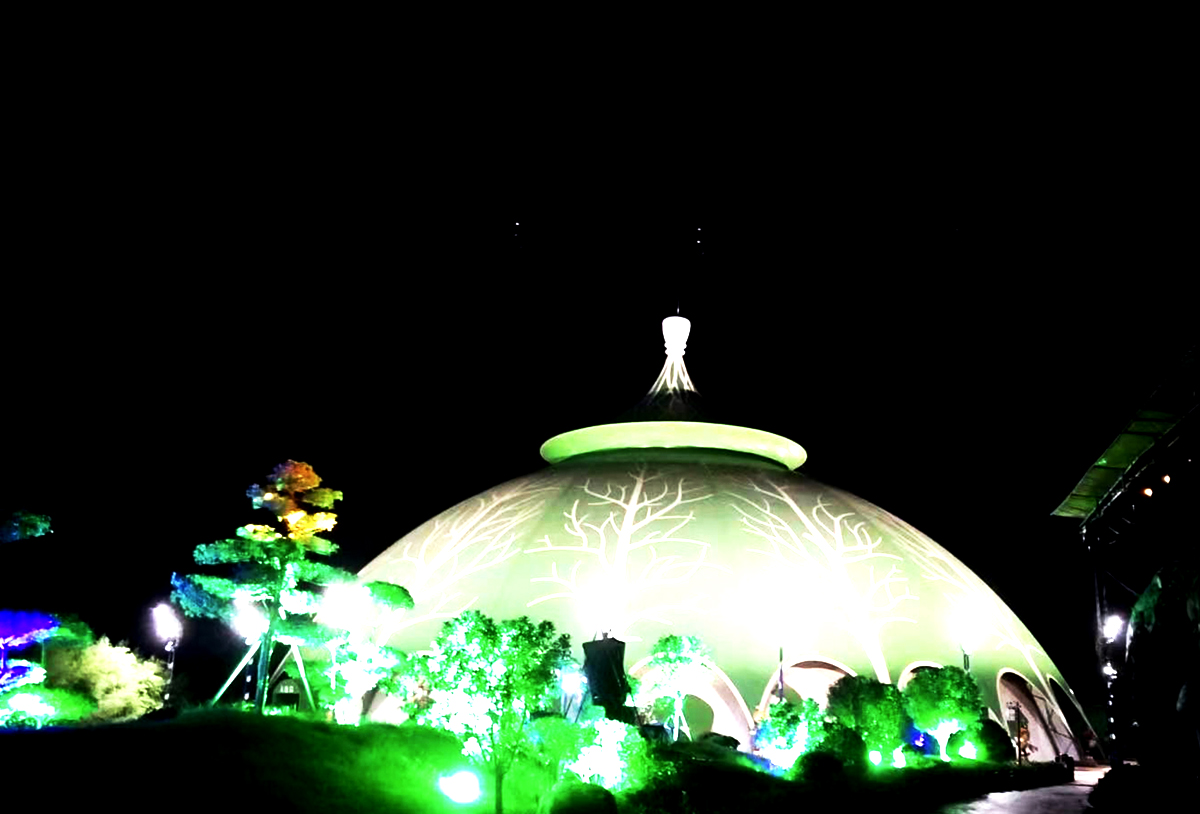 Hi-LTTE Lighting Creates A Dreamy Immersive Light Show At Zhoukou Forest Animal World