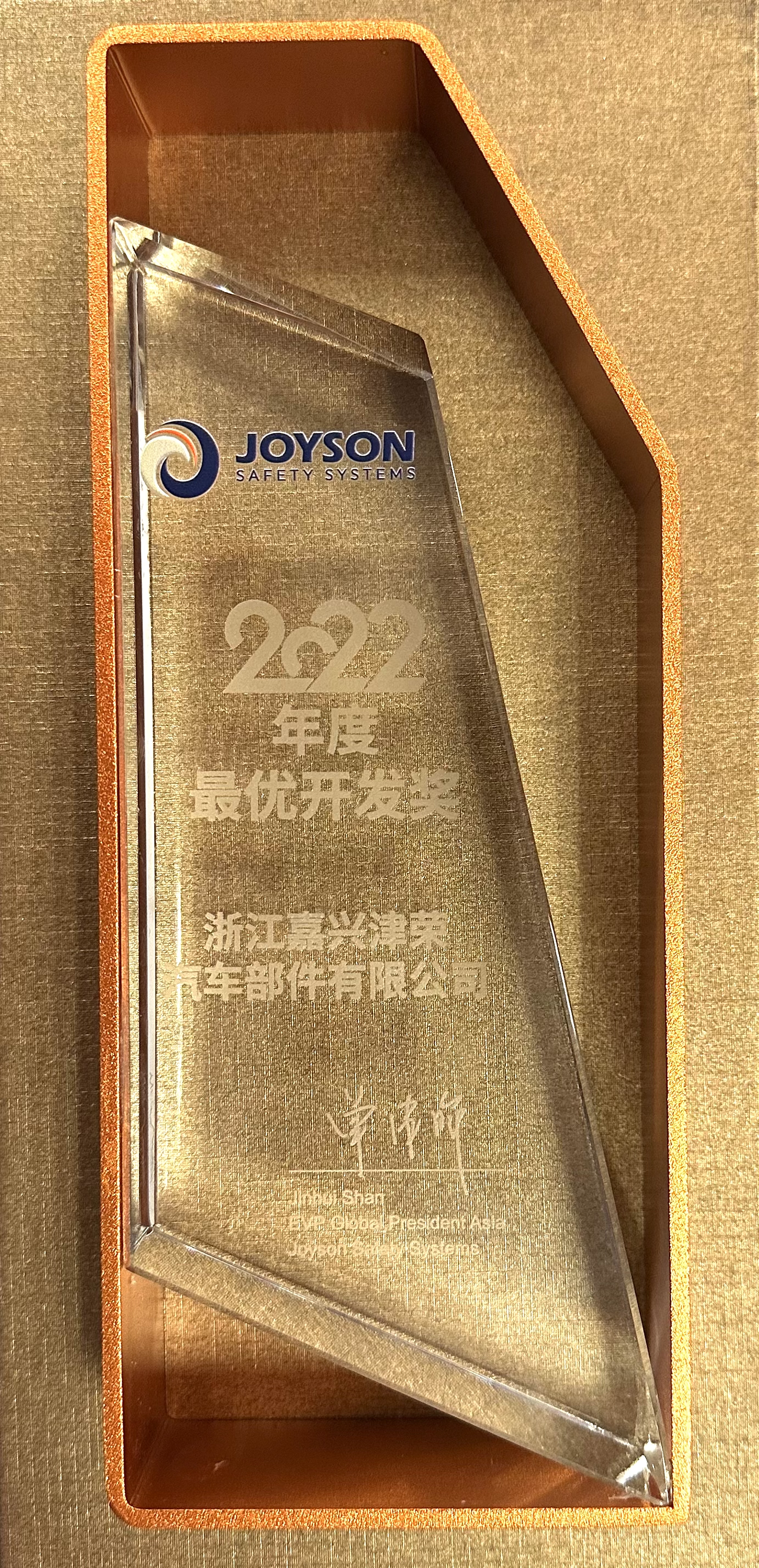Jiaxing Jinrong - Best Development Award for 2022