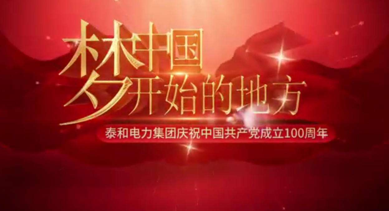 泰和电力集团庆祝中国共产党成立一百周年，祝福祖国祝福党，繁荣昌盛永辉煌