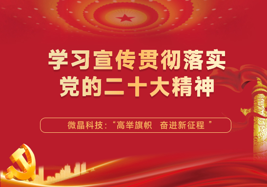 Excelling in the New Era and Moving Forward to the Future All Employees of Hefei Vigon Materials Technology Study and Implement the Spirit of the 20th Party Congress
