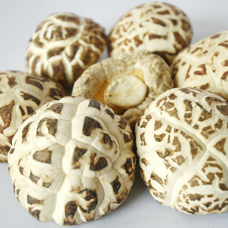 DRIED WHITE FLOWER SHIITAKE CULTIVATED IN AUTUMN