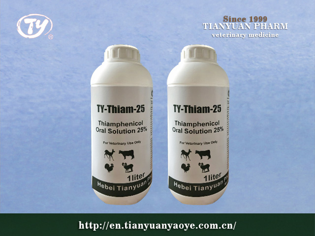 Thiamphenicol 25% Oral Solution